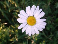 photos2010001749