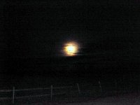 photos2010001837