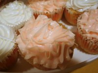 photos2010001843