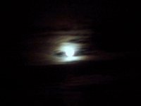 photos2010001848