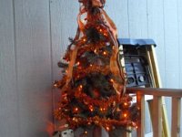 photos2010001881