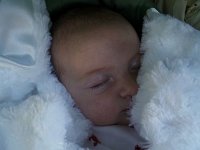 photos2010001981