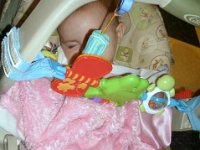 photos2010002029