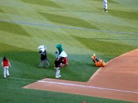 photos2010002206