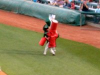 photos2010002235