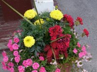 photos2010002056