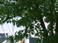 photos2010002073