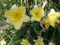 photos2010002101