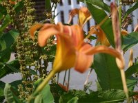 photos2010002107