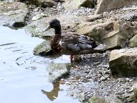 photos2010002135