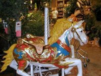 photos2010002356