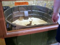 photos2010002364