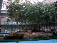 photos2010002282
