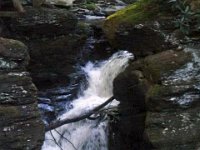 photos2010002260