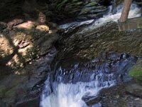 photos2010002301