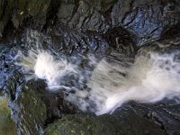 photos2010002302
