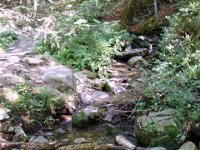 photos2010002303