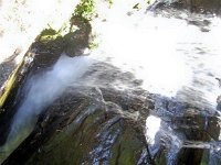 photos2010002308