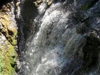 photos2010002309