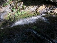 photos2010002311