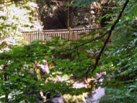 photos2010002315