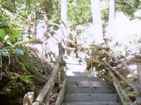 photos2010002317