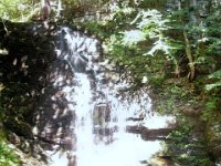 photos2010002319
