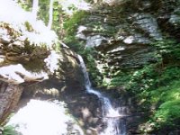 photos2010002321