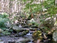 photos2010002323
