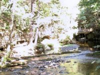 photos2010002333