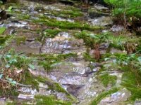 photos2010002335