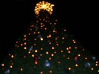photos2010002409