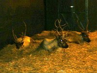 photos2010002434