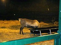 photos2010002435