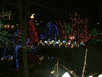 photos2010002437