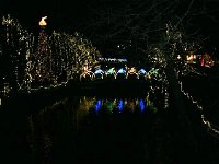 photos2010002439