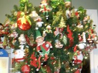 photos2010002460