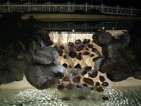 photos2010002470