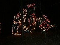 photos2010002510