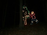 photos2010002519