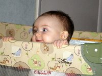 photos2010002530