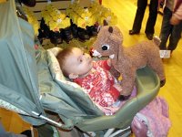 photos2010002534