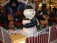 photos2010002545