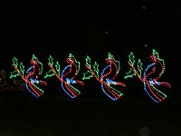 photos2010002562