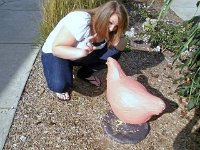 photos2010002823