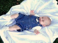 photos2010002839