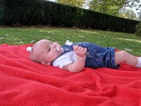 photos2010002848