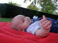 photos2010002849