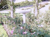 photos2010002865