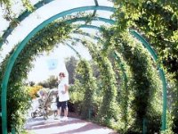photos2010002869